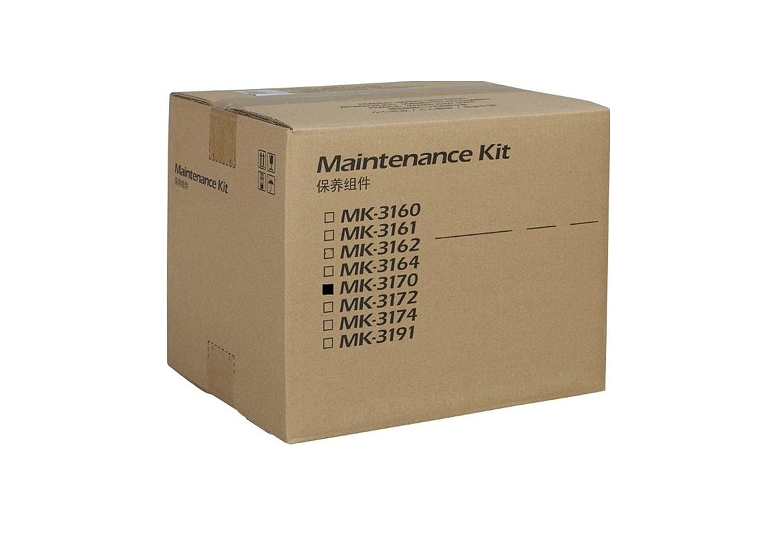 Photo: KYOCERA MAINTENANCE KIT MK-3100 /1702MS8NLV GE